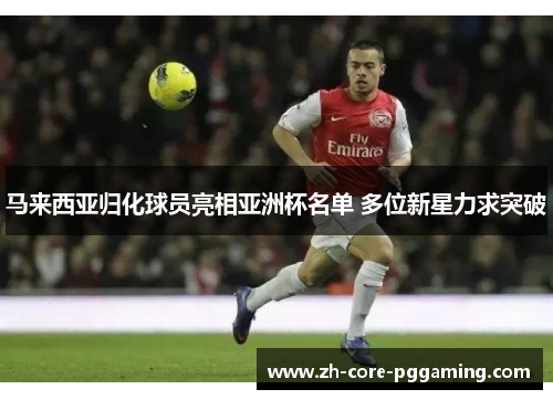 马来西亚归化球员亮相亚洲杯名单 多位新星力求突破