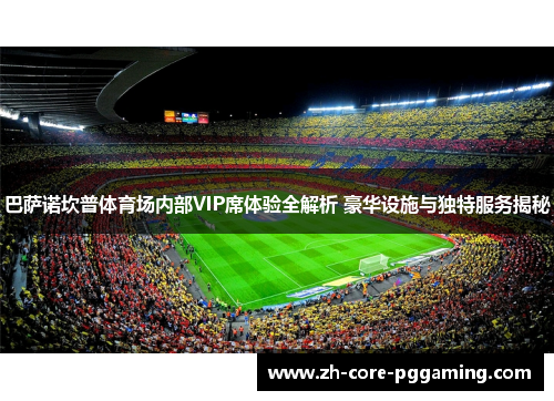 巴萨诺坎普体育场内部VIP席体验全解析 豪华设施与独特服务揭秘