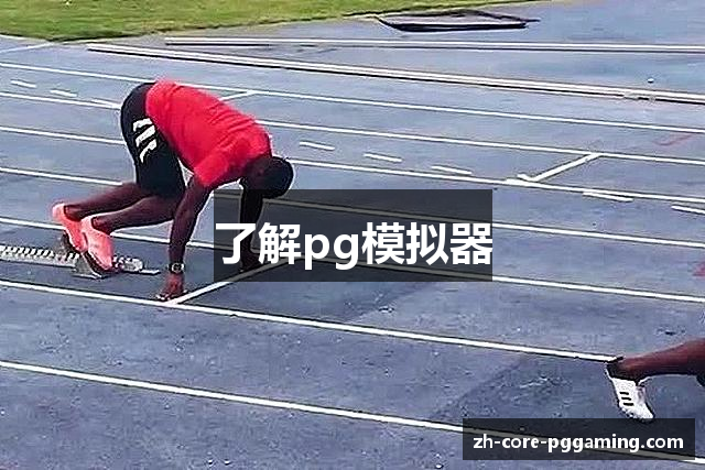 了解pg模拟器